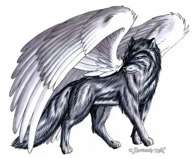 Wolf With Wings Drawing at PaintingValley.com Explore collec