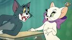 Casanova Cat Tom And Jerry Cartoon