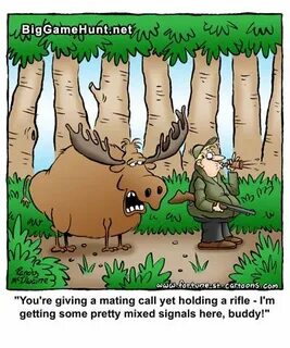 16 Animals ideas in 2021 hunting humor, hunting memes, funny