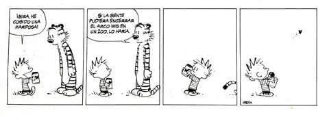 Calvin y Hobbes9 - Piñata Productions