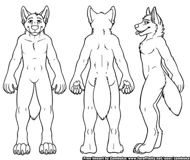 Furry Fox Ref Sheet Base - Disonancia Sentv3