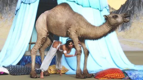 Sex with camel