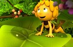 Обои leaf, animated film, konoha, bee, animated movie, Maya 