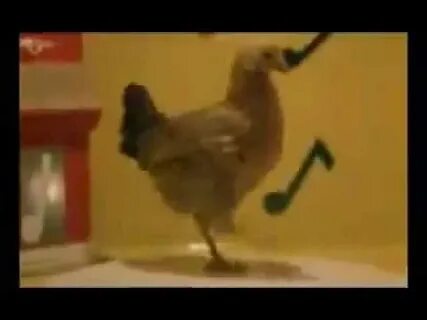 Курица танцор мира