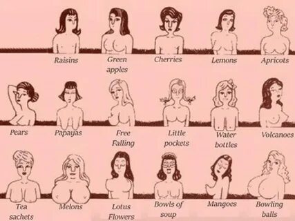 Types of boobs in women