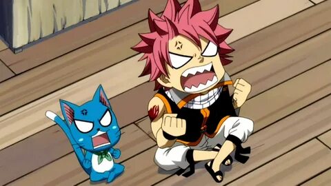 Fairy Tail Natsu And Happy - Фото база