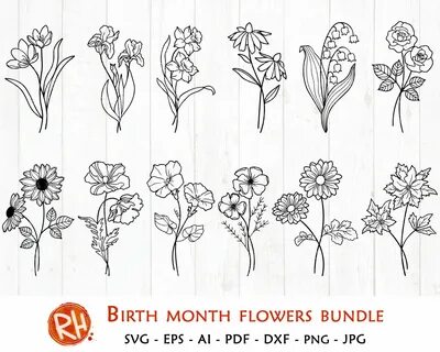 This item is unavailable Etsy Birth month flowers, September