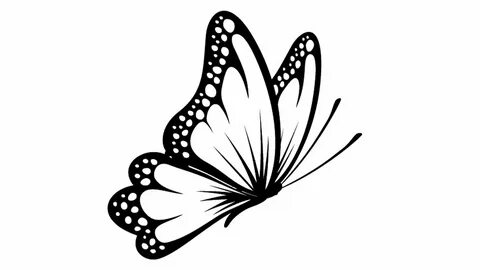 The Best 30 Simple Easy Butterfly Drawing Side View - Bogema