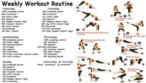 Workout Schedule For Women - Musely