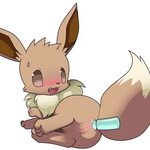 25+ Eevee Gets Fucked Sexually Aroused Porn Pics