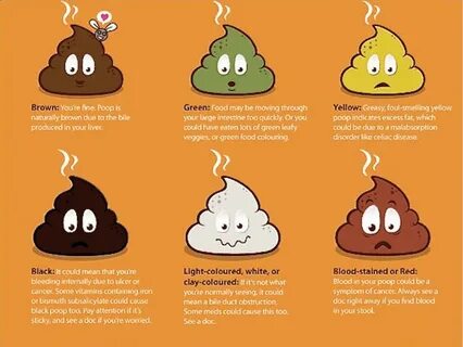 How Your Poop Says Much About Your Digestive Health - Lifeha
