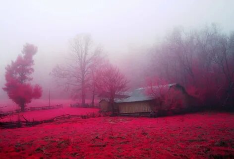 nature, House, Huts, Trees, Earth, Farms, Countryside, Autum