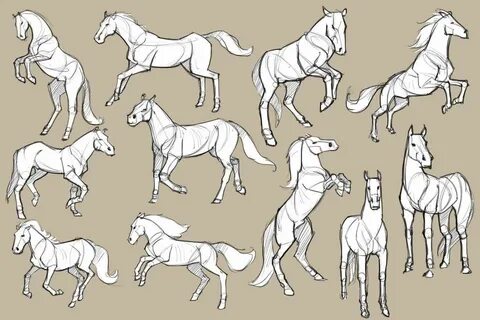 Мои закладки Horse sketch, Horse drawings, Animal drawings