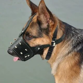 HQ Durable Leather Dog Muzzle (Anti Bark - Fits medium and l