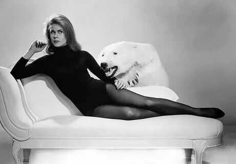 Elizabeth Montgomery with a polar bear rug, 1963 " 60s tv sh