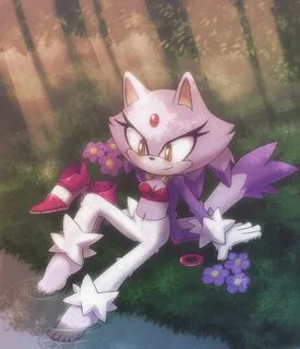 Blaze the cat moment of peace +remake+ by nancher -- Fur Aff