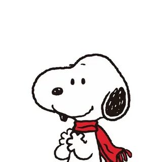 hello kitty good evening in 2022 Snoopy pictures, Snoopy lov