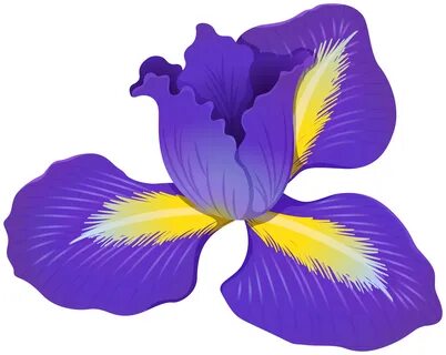 Amazing Iris Flowers Clipart - Best Free Clipart : Best Free