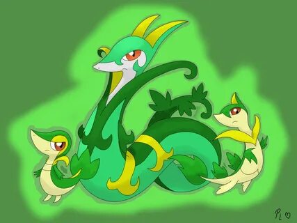 Snivy Wallpapers Wallpapers - All Superior Snivy Wallpapers 