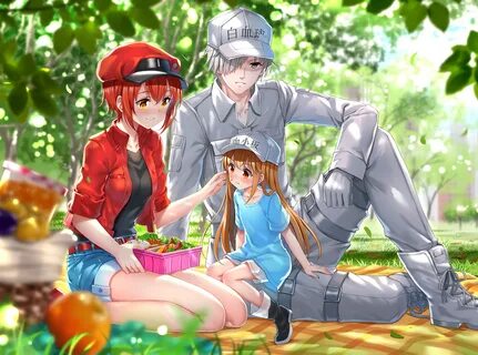 Cells at Work! HD Wallpaper by 刃 天