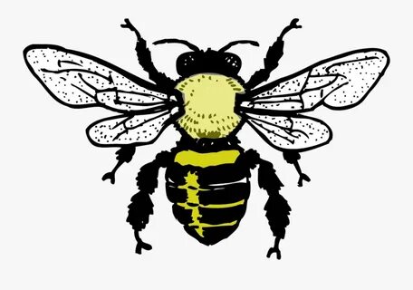 Bee Outline , Free Transparent Clipart - ClipartKey