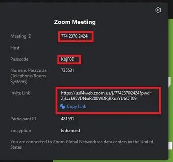Download Zoom for Windows - Free