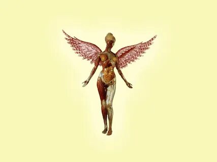 Best 53+ In Utero Wallpaper on HipWallpaper Nirvana Utero Wa