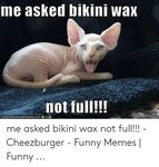 Me Asked Bikini Wax Not Full!!! ICANHASCHEEZEURGER OOM Me As