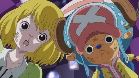 Tony Tony Chopper Carrot One Piece Cặp đôi