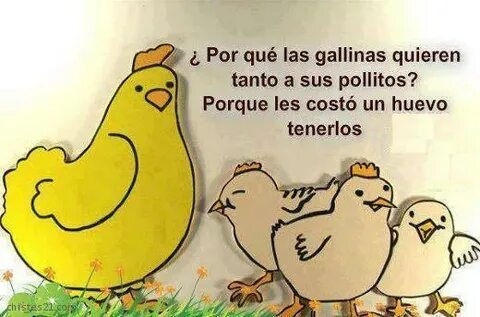 Chistes Amor de gallina