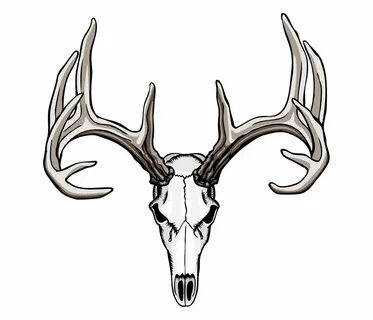 Skull with horns free image download