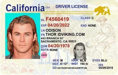 California (CA) - Drivers License PSD Template Download - ID