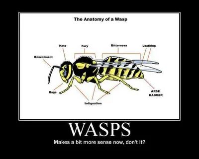 wasps.. - Meme by exilod :) Memedroid