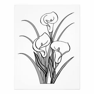 Image of Calla Lily Clipart #5743, Calla Lily Stencil - Clip