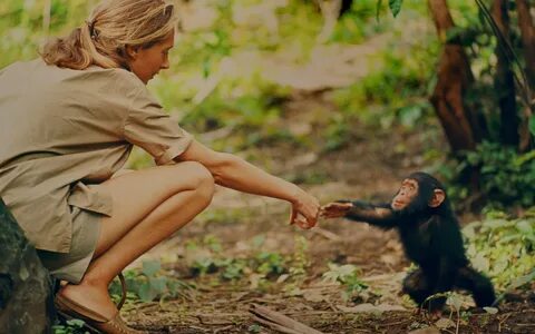 A LESSON IN NOT WAITING FOR PERMISSION: Dr Jane Goodall - We