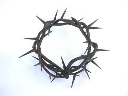 A Crown Of Thorns Related Keywords & Suggestions - A Crown O