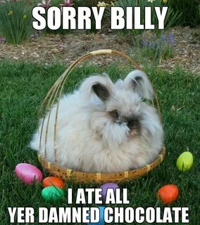 Funny' Easter Memes, Jokes, Quotes & Bunny Memes Pictures Fu