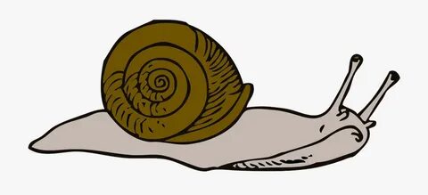 Download High Quality snail clipart moving Transparent PNG I