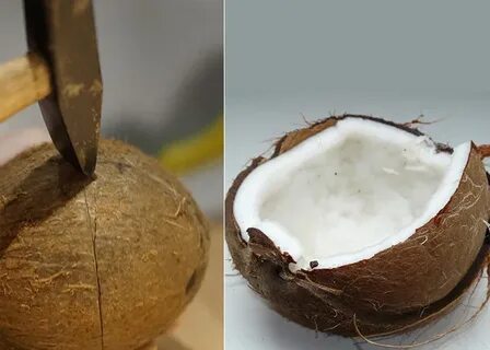 Как очистить кокос в домашних условиях: 5 эффективных способ