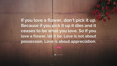 Osho Quote: "If you love a flower, don’t pick it up. Because