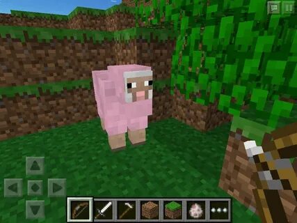 A rare pink sheep on minecraft. Who knew right!!! Pink sheep