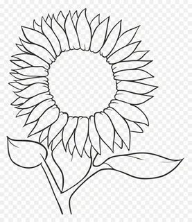 Sunflower Outline No Background : To created add 42 pieces, 