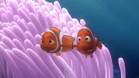 Finding Nemo - The Family Circle Of Trust: Adventure & Nemo 