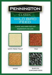 Купить Pennington Classic Wild Bird Feed and Seed, 40 на Аук