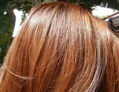 Honey Brown Hair Color Palty Hair Color - Honey Brown Review