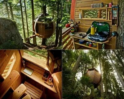 Tree house Tiny homes