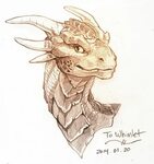 Draco from the 90s movie Dragonheart Dragon sketch, Dragon a