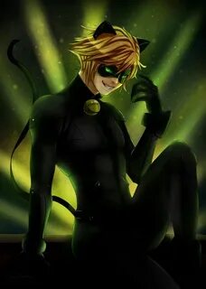 Fanart Chat Noir 5ED