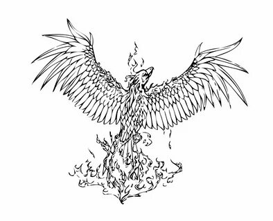 Phoenix Rising From The Ashes Drawing at GetDrawings Free do