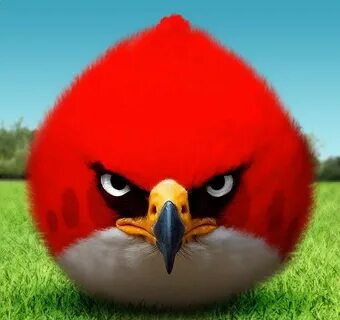 #Angry_birds, #games, #images, #игры, #картинки, https://ava